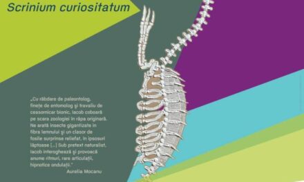 Expoziție Costel Iacob „Scrinium curiositatum” @ Galeria Simeza, București
