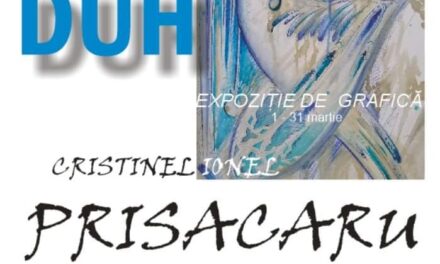 Expoziție Cristinel Ionel Prisacaru „Văzduh” @ RomanArt Gallery, Roman