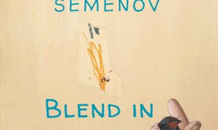 Expoziție de pictură Constantin Semenov „Blend in” @ Galeria Arta 1, Craiova