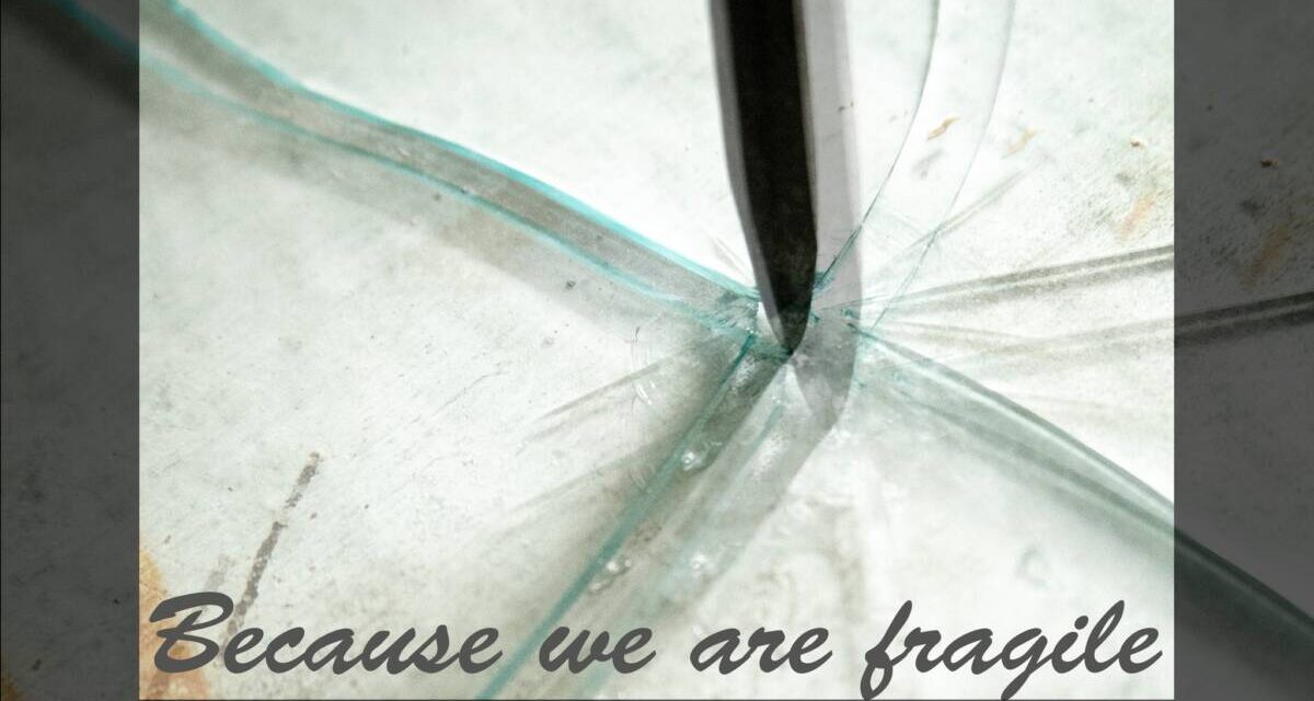 Expoziție Anca Stătică „Because we are fragile” @ Artă.nonstop, Sibiu