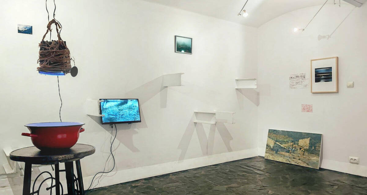 Expoziție Sașa-Liviu Stoianovici și Andrei Rosetti „Aqua recens” la Galleria28, Timișoara