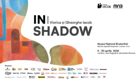 Expoziţie Viorica și Gheorghe Iacob „In|Shadow” @ Muzeul Național Brukenthal