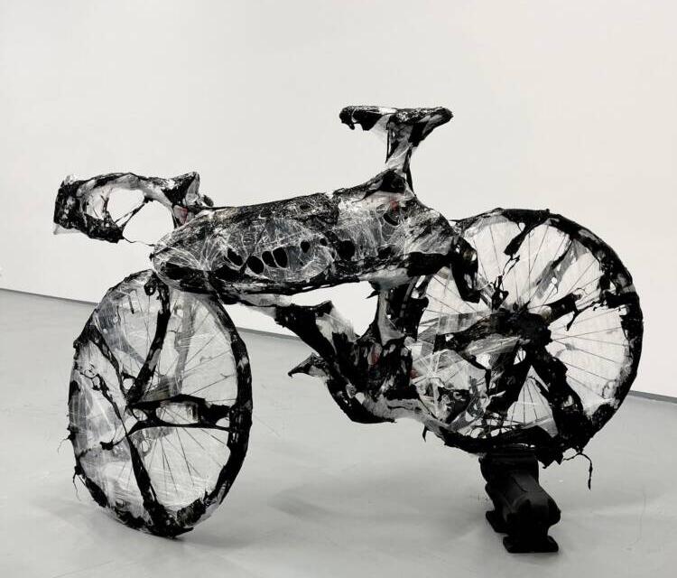 Instalație Alexandru Ranga „Blight” @ IOMO Gallery, București