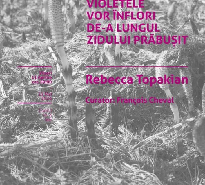 Rebecca Topakian (FR), expoziție de fotografie la Borderline Art Space, Iași