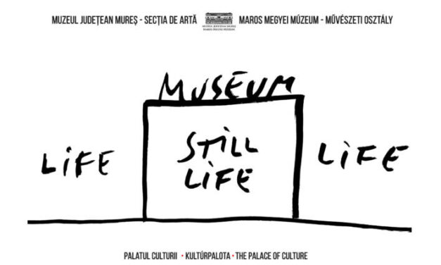 Expoziție Dan Perjovschi – Muzeu / Múzeum / Museum @ Palatul Culturii din Târgu Mureș