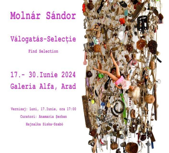 Expoziția Molnar Sandor „Selecție” @ Galeria Alfa din Arad