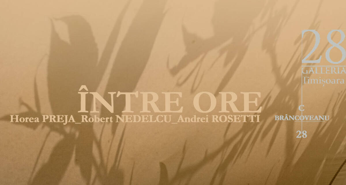 Expoziție Horea Preja, Andrei Rosetti, Robert Nedelcu „Între ore” @ Galleria 28 din Timișoara