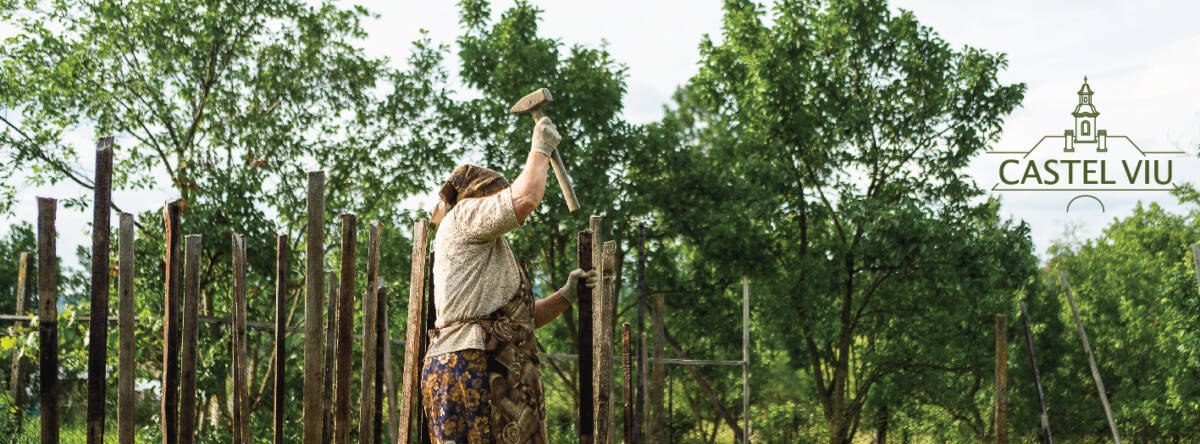 Castel Viu – Oamenii și munca în Posmuș