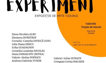 Expoziția EXPERIMENT @ Galeriile Trepte de istorie din Focșani