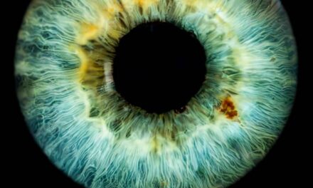 Muzeul de Artă Brașov sărbătorește Ziua Mondială a Fotografiei cu evenimente inedite și o nouă expoziție