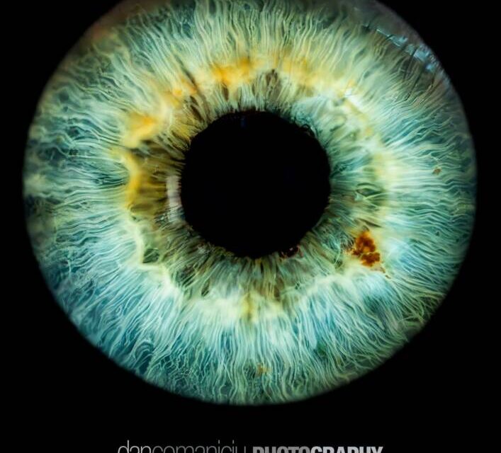 Muzeul de Artă Brașov sărbătorește Ziua Mondială a Fotografiei cu evenimente inedite și o nouă expoziție