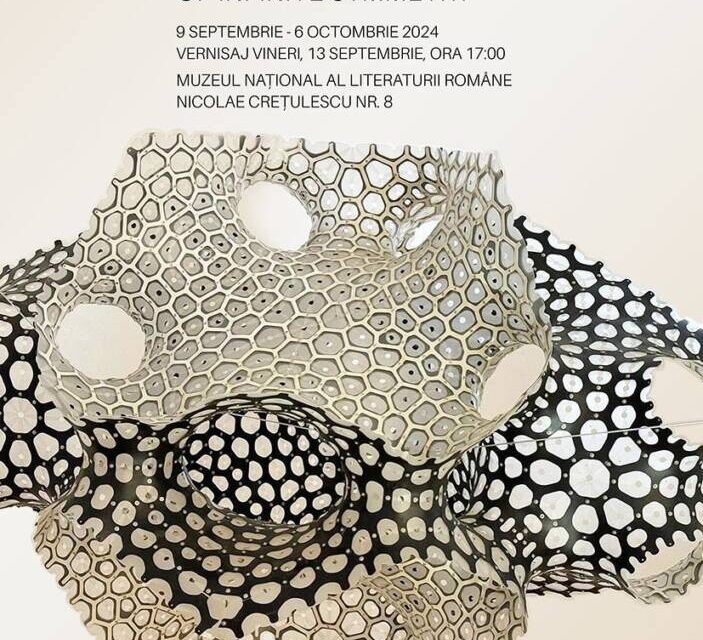 Expoziția „Glimpses of infinite symmetry” de Vlad Țenu @ Muzeul Național al Literaturii Române