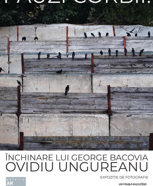 Expoziție de fotografie Ovidiu Ungureanu „I-AUZI CORBII!” @ Galeria de artă Arcade 24, Bistrița