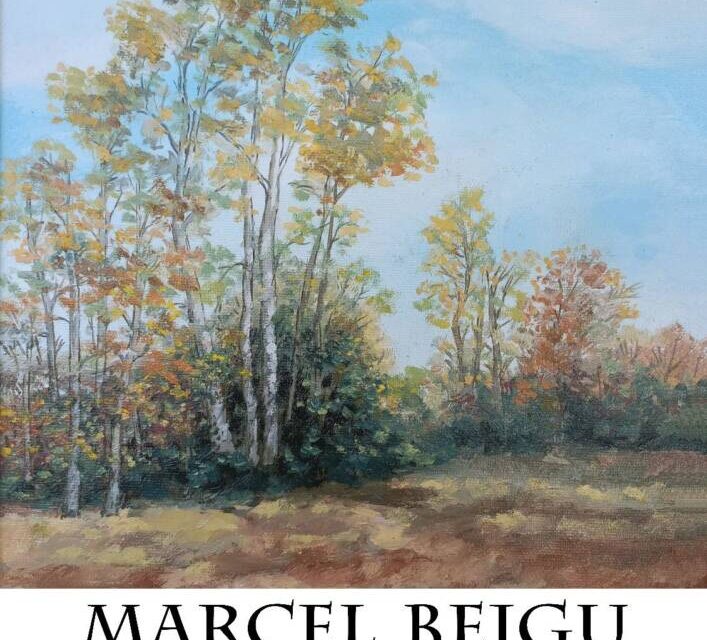 Expoziție de pictură Marcel Bejgu @ Galeria de Artă Ploiești