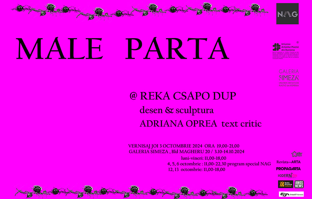 Expoziție personală Reka Csapo Dup „Male Parta” @ Galeria Simeza, București