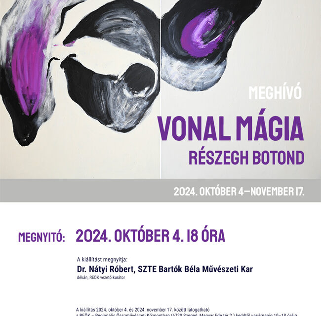 Expoziție Részegh Botond „Magia liniei” @ Palatul Reok din Szeged, Ungaria