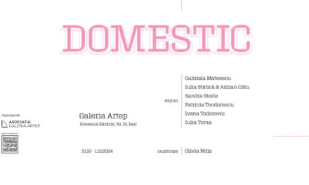 DOMESTIC – spațiu fizic, spațiu mental – din perspectiva artei video contemporane @ Galeria Artep din Iași