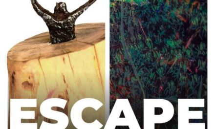 Expoziție Mihaela Tătulescu și Radu Tîrnovan „Escape” @ Centrul Cultural Apollonia din Braşov