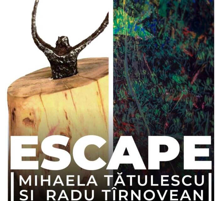 Expoziție Mihaela Tătulescu și Radu Tîrnovan „Escape” @ Centrul Cultural Apollonia din Braşov