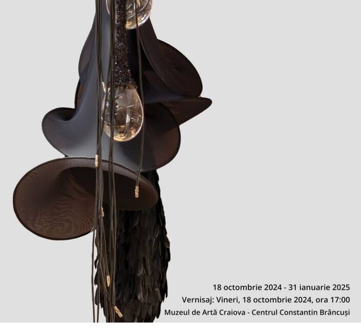Expoziție personală Alina Aldea „Visul Marelui Fluture Negru” @ Muzeul de Artă Craiova – Centrul Constantin Brâncuşi