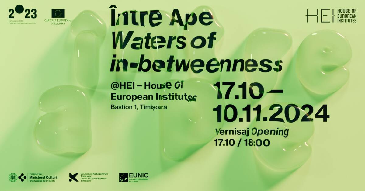 Expoziția „Între Ape” deschide dialogul despre relația pe care o avem cu apele @ House of European Institutes din Timișoara