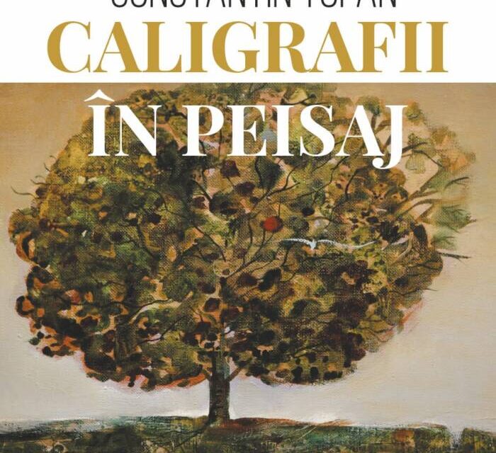 Expoziția de pictură Constantin Tofan „Caligrafii în peisaj” @ Muzeul Municipal „Regina Maria” Iași