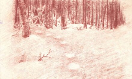 SAT – THE SMALLEST ART fair in TOWN: primul târg de artă contemporană din România dedicat exclusiv lucrărilor pe hârtie