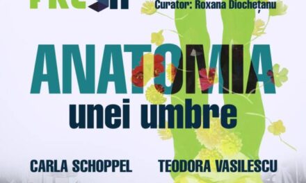 Expoziție Carla Schoppel și Teodora Vasilescu „Anatomia unei umbre” @ Elite Art Gallery, București