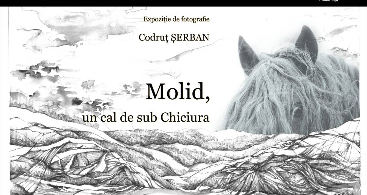Expoziție de fotografie Codruț Șerban „Molid, un cal de sub Chiciura” @ Galeria de artă „Th. Pallady” a U.A.P.R. Filiala Iași