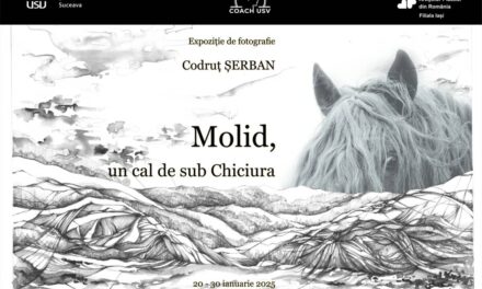 Expoziție de fotografie Codruț Șerban „Molid, un cal de sub Chiciura” @ Galeria de artă „Th. Pallady” a U.A.P.R. Filiala Iași