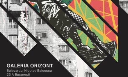 Expoziția Petru Bubă „Nici o Unitate, doar Legături” @ Galeria Orizont, București