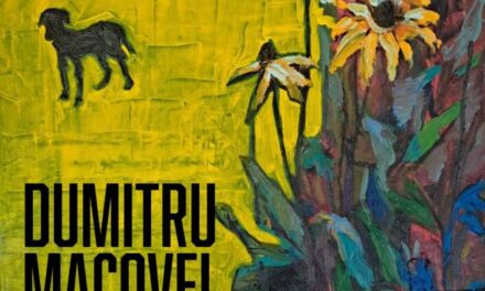 Expoziție personală Dumitru Macovei @ Muzeul de Arta Modernă și Contemporană Pavel Șușară, București