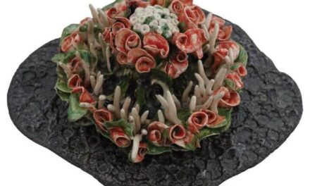 Expoziție Silviu Soare „Coralis” @ Centrul Cultural „Ionel Perlea” Ialomița 