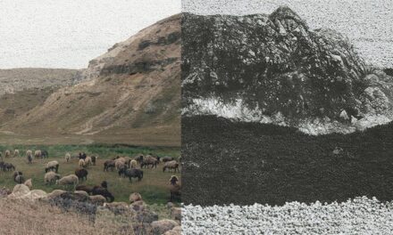 Expoziție Anna Godzina, Galeria Lutnița, Chișinău, Republica Moldova