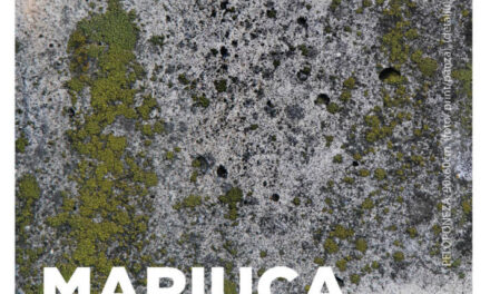 Expoziție personală de fotografie Mariuca Covrig „Himerele din Zid” @ Galeria Arcade 24, Bistrița