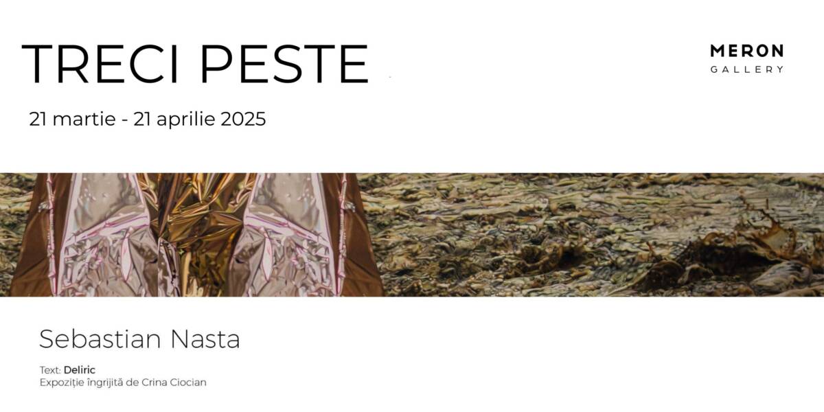 Expoziție Sebastian Nasta „Treci peste” @ Meron Gallery, Cluj-Napoca