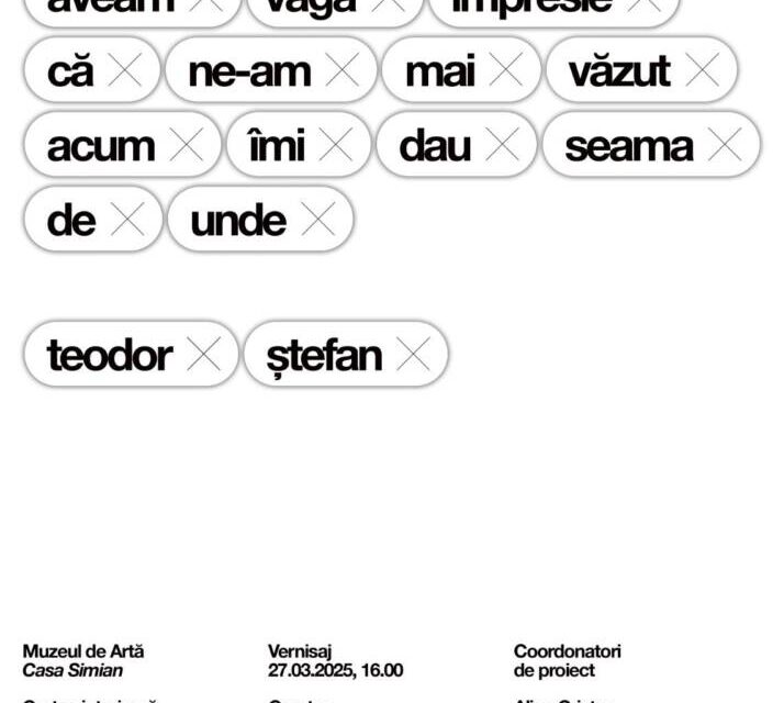 Expoziție Teodor Ștefan „Aveam vaga impresie că ne-am mai văzut, acum îmi dau seama de unde” @ Muzeul de Artă „Casa Simian”, Râmnicu Vâlcea