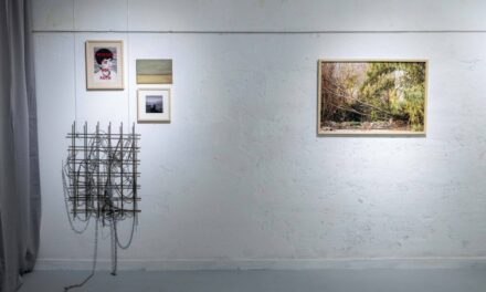 Expoziție „Natură / Cotidian” @ Gallery Studio 76, Combinatul Fondului Plastic, București