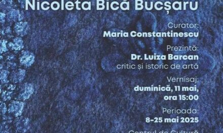 Expoziție de artă textilă Nicoleta Bică Bucșaru „Armonie” @ Galeria Cuhnia a Palatului Brâncovenesc de la Mogoșoaia