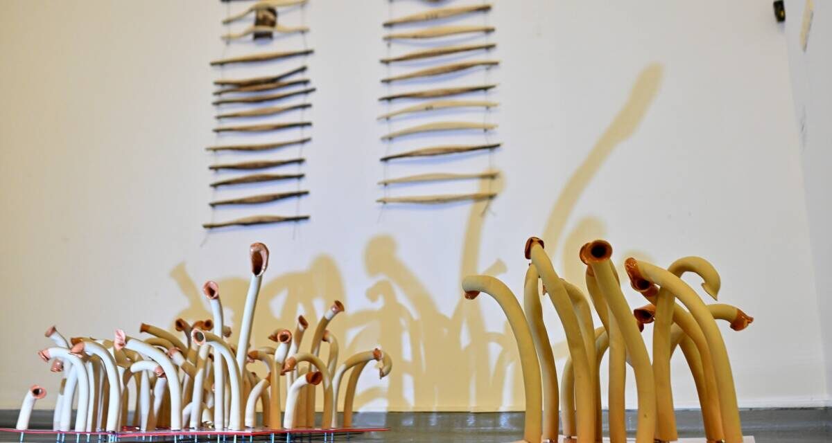 Expoziție Eva Andrea Szőcs & Georgiana Cozma „Some Borders can not be Moved with Fingers” @ Muzeul Național Brukenthal, Muzeul de Artă Contemporană