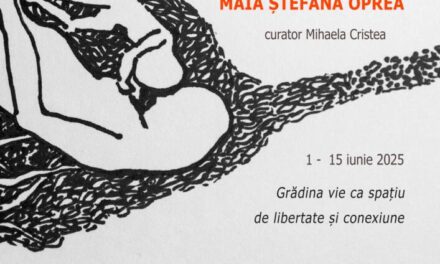 Expoziție-instalație Maia Ștefana Oprea „R(a)ise th’eM” @ Gallery Studio 76 din București