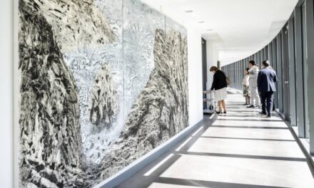 Expoziție Roland Pangrati „Drum de apă și de piatrăˮ la Curtea de Conturi Europeană din Luxemburg