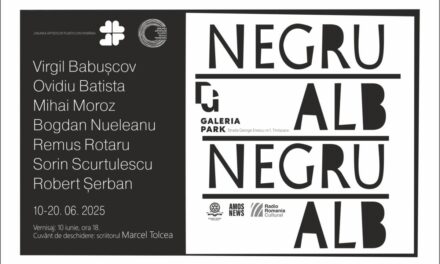 Expoziţie „NEGRU / ALB” @ Galeria Park, Timișoara