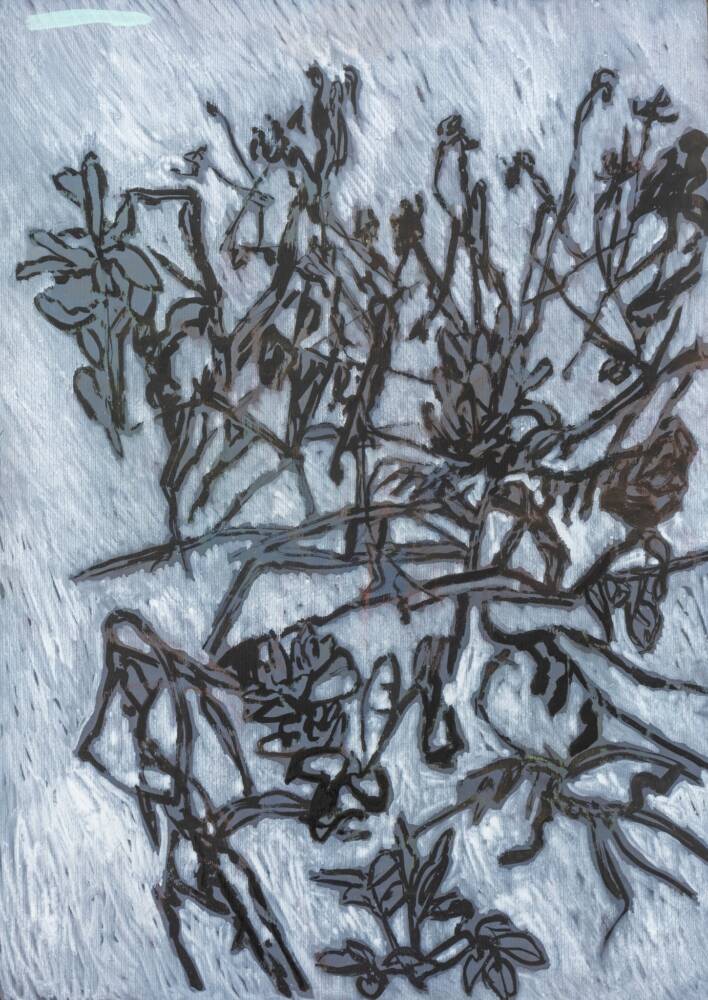 Galbenele iarna, Marigold over wintertime_ Maia Stefana Oprea