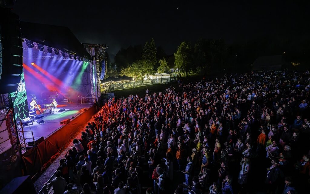Cum se face lineup-ul la Jazz in the Park?