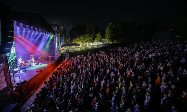 Cum se face lineup-ul la Jazz in the Park?
