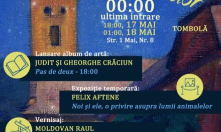 Noaptea Muzeelor 2025 la Muzeul Județean de Artă «Centrul Artistic Baia Mare»