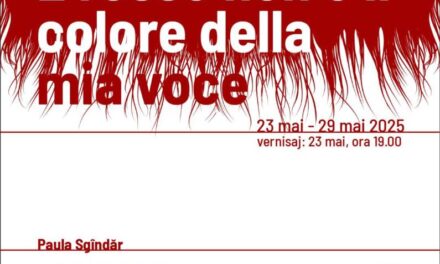 Solo show Paula Sgîndăr „e rosso non è il colore della mia voce” @ Căminul Subcultural, Cluj-Napoca