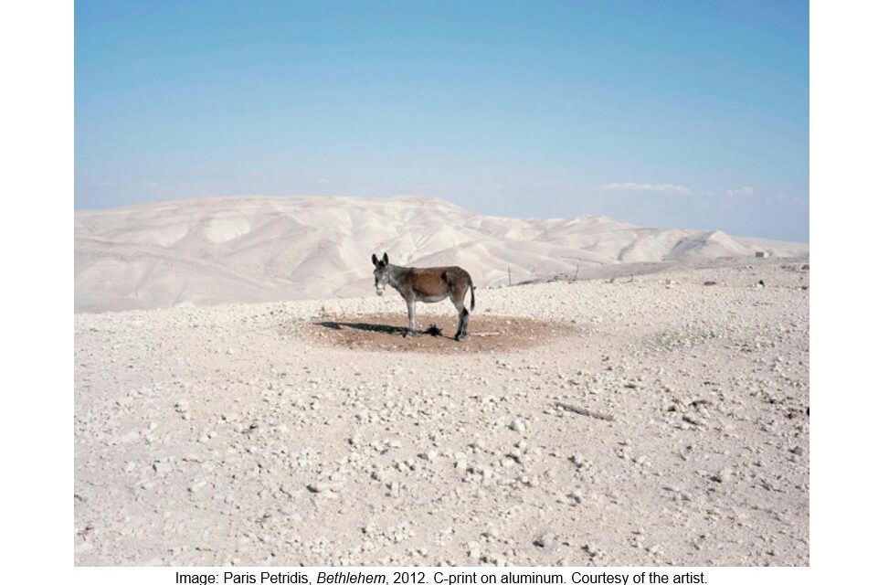 ΕΜΣΤ ATHENS PRESENTS ITS FLAGSHIP EXHIBITION “WHY LOOK AT ANIMALS?A CASE FOR THE RIGHTS OF NON-HUMAN LIVES”