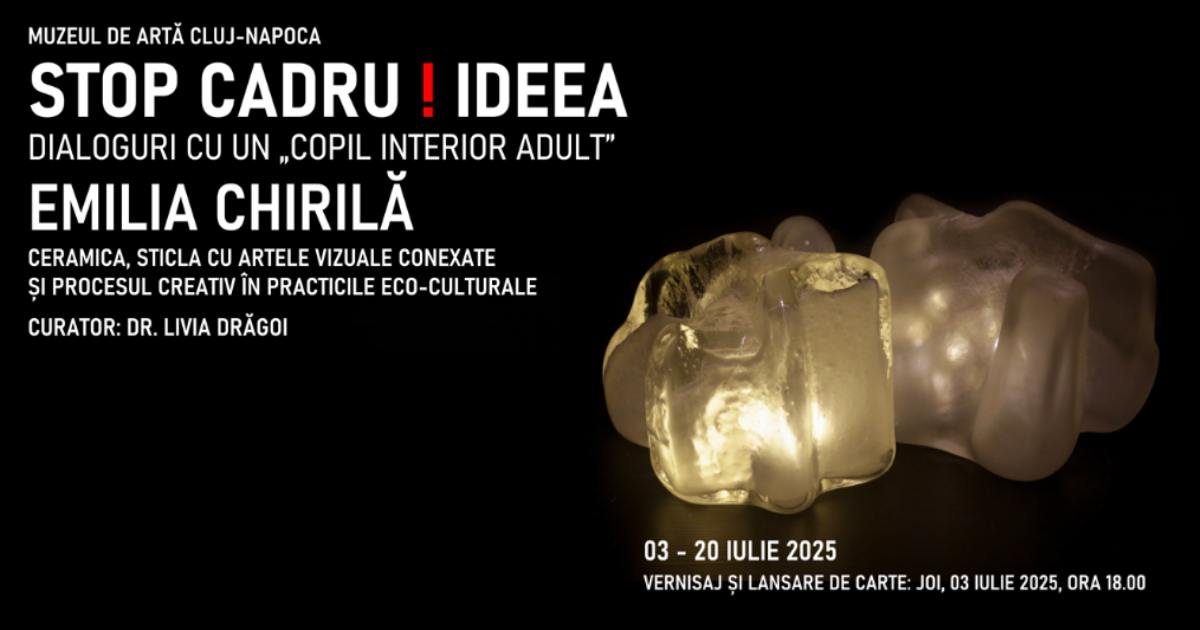 Expoziție personală Emilia Chirilă, „STOP CADRU! IDEEA – Dialoguri cu un copil interior adult” @ Muzeul de Artă Cluj-Napoca